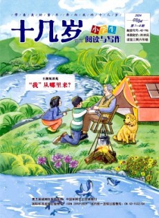 十几岁杂志